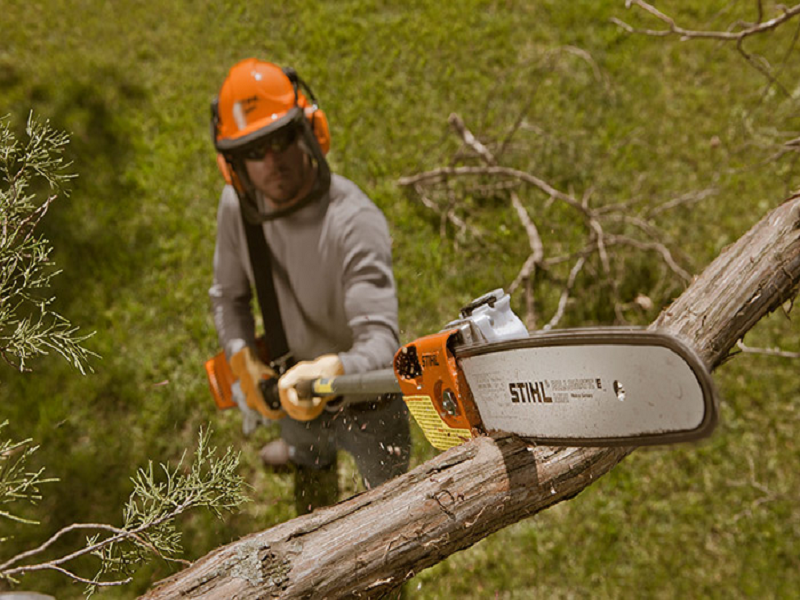 Saw course in. Высоторез Stihl-ht175. Бензосучкорез штиль. Stihl HT 100. Бензопила штиль с гидроклином.