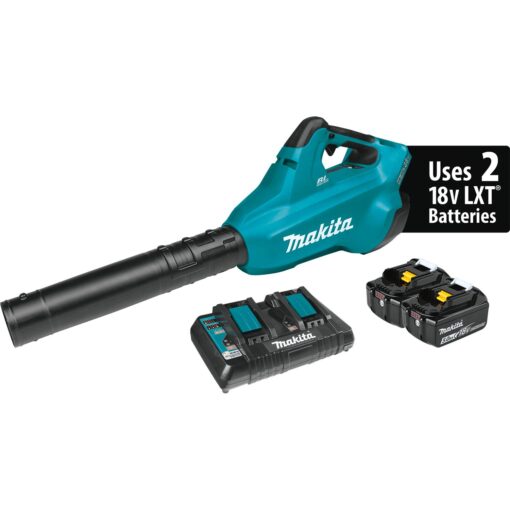 makita-XBU02PT-cordless-leaf-blower-kit