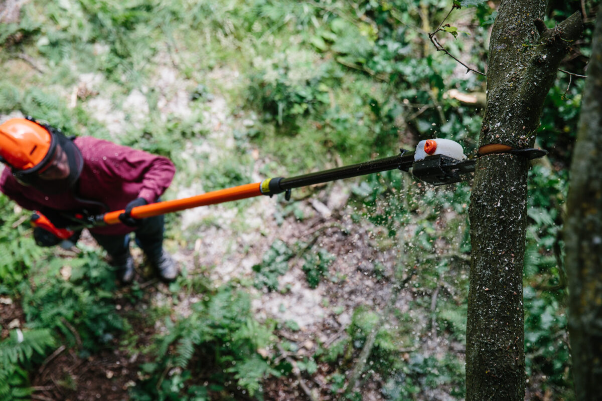 echo-power-pruner-pole-saws-at-gardenland